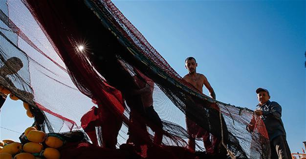 Turkey’s seasonal fishing ban to end on Sept 1
