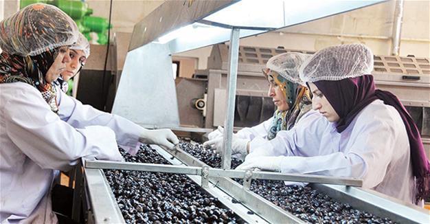 Turkish producers want to sell customs-free olive oil to EU