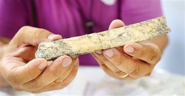 Turkish researchers find bones of 350,000-year-old animal