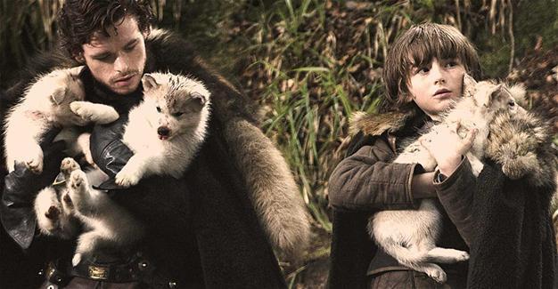 Lannister warns about husky craze