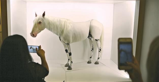 Contemporary Istanbul opens 12th annual art fair