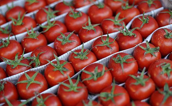 Turkish minister expects Russia to lift ban on tomatoes in 1-2 days
