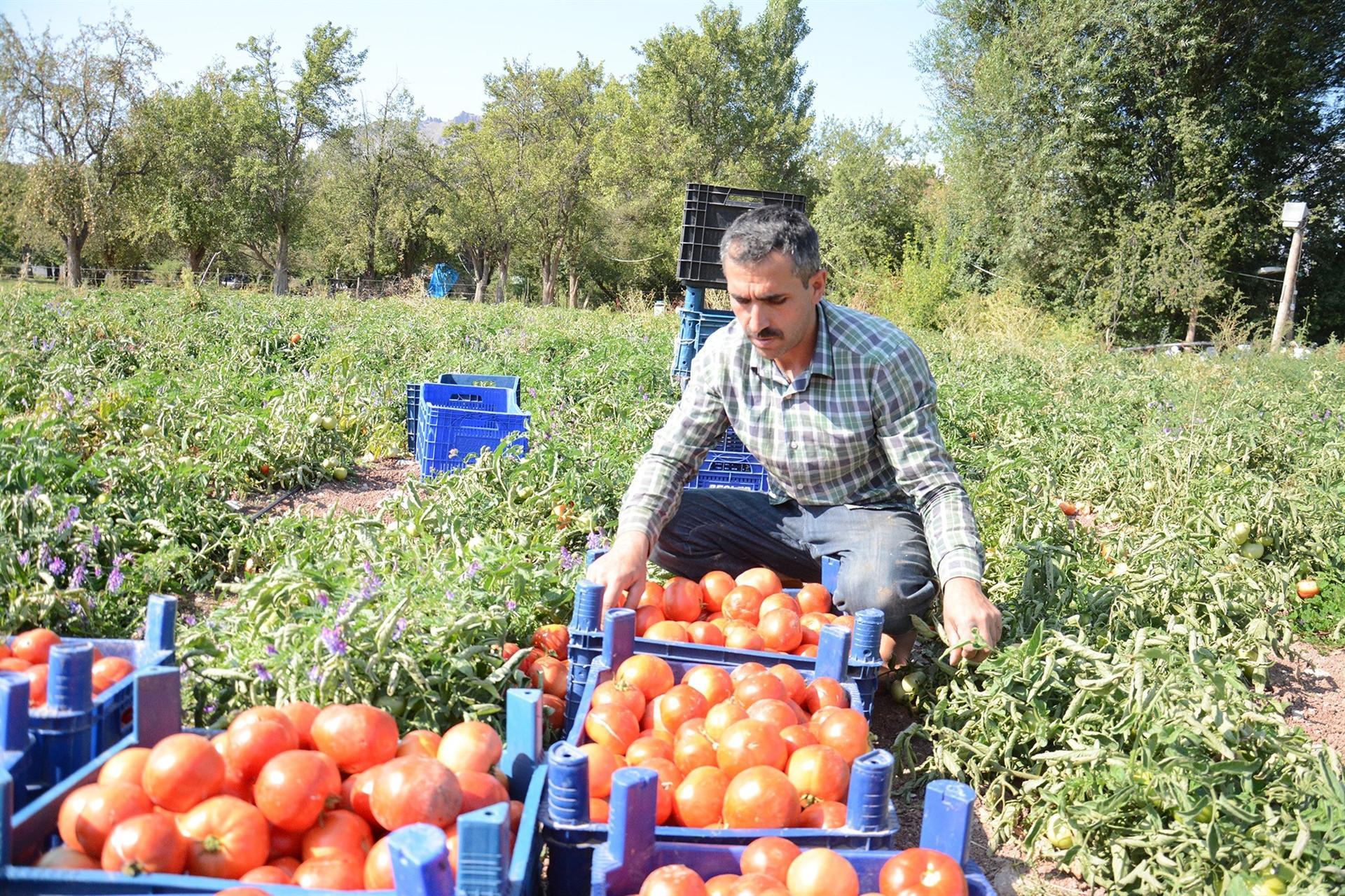 Turkey’s core inflation hits 13.5-year high in September