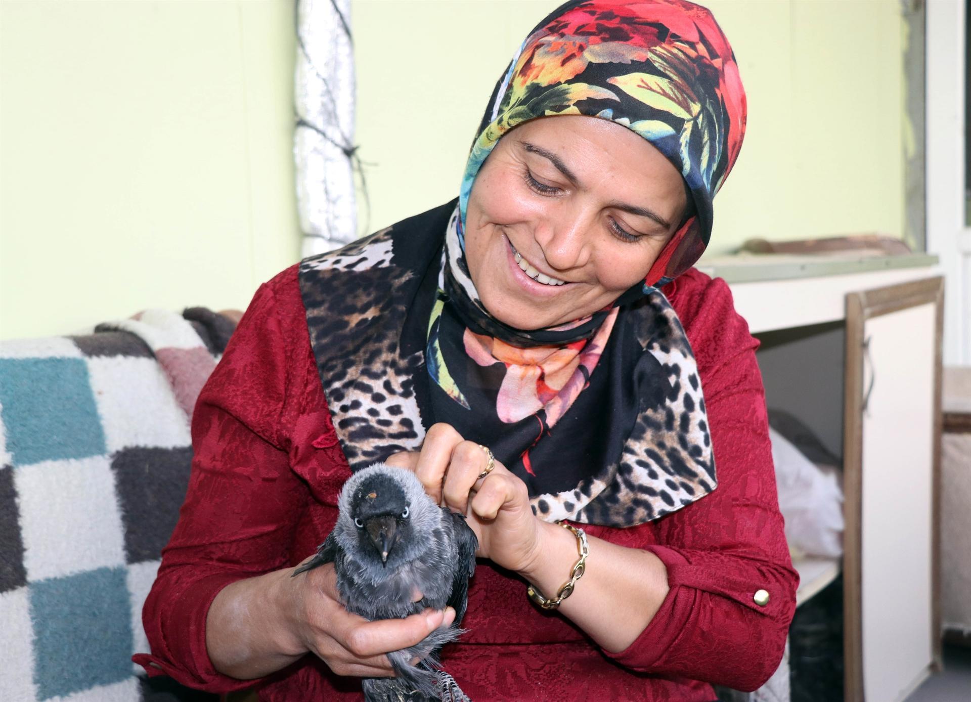 Disabled crow Garip ‘cared for like a baby’