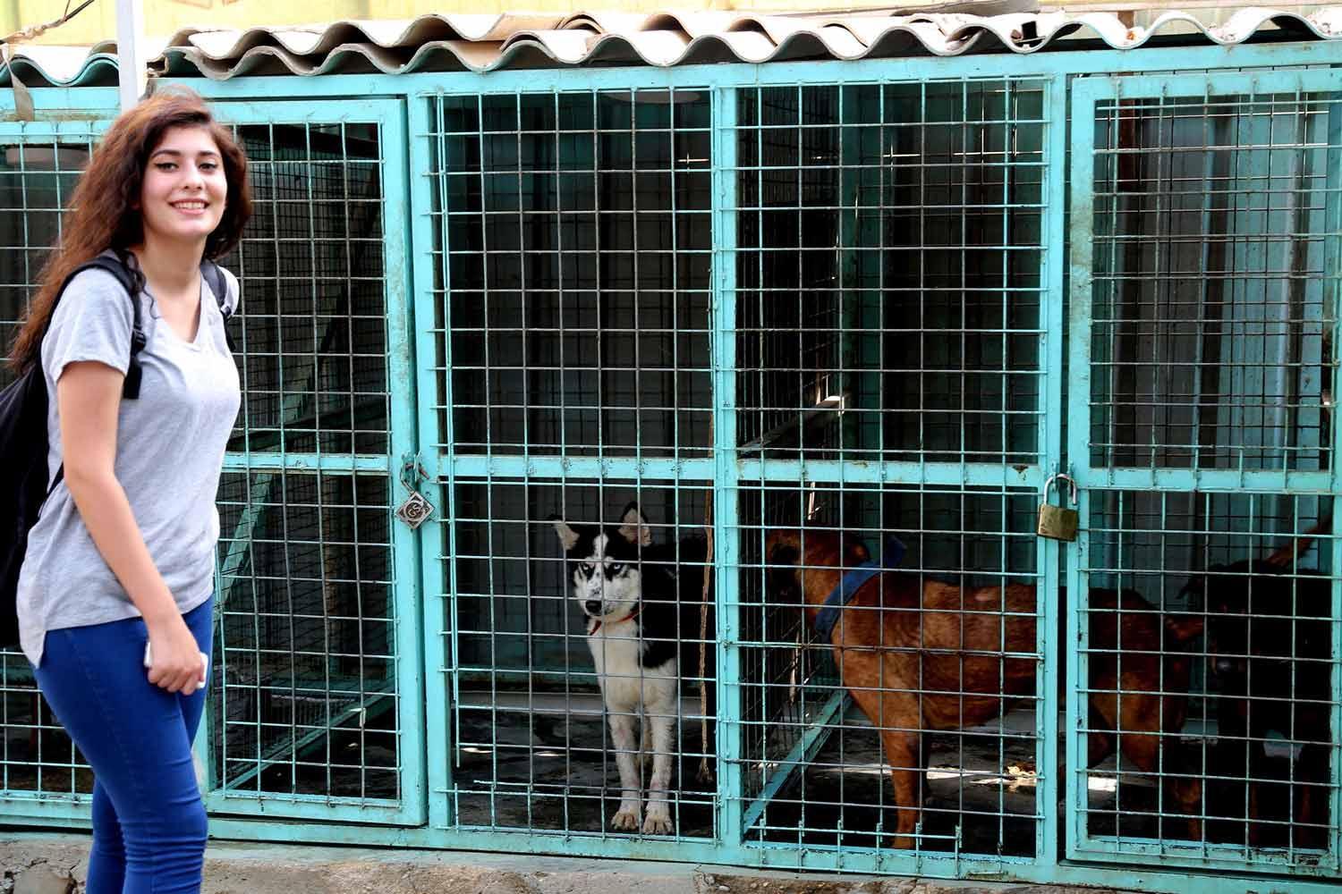Iraqi animal lovers go online to save strays