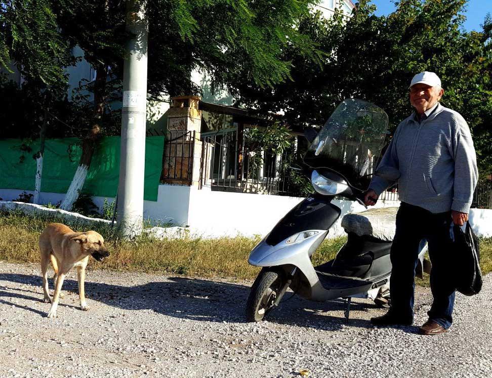 Elderly Turkish man dedicates life to stray animals on holiday island