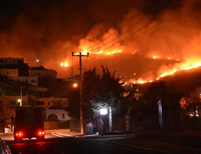 90 hectares of forest reduced to ash in Turkey’s Bodrum