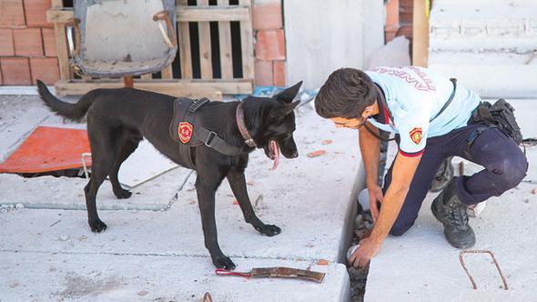 Ankara fire department’s cadaver dog on the job to enlighten cases