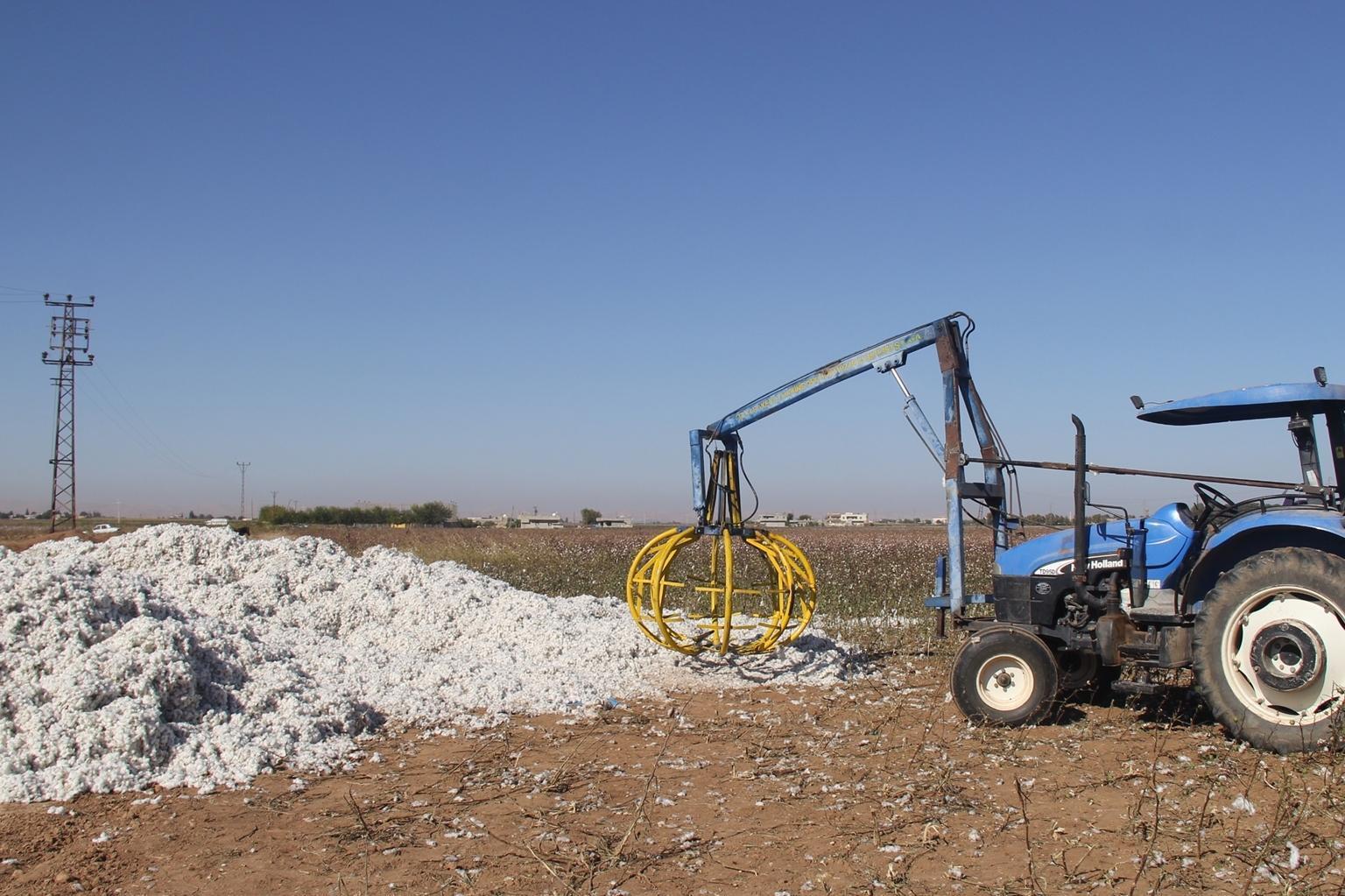 Three children found dead in cotton field in Turkey’s southeast