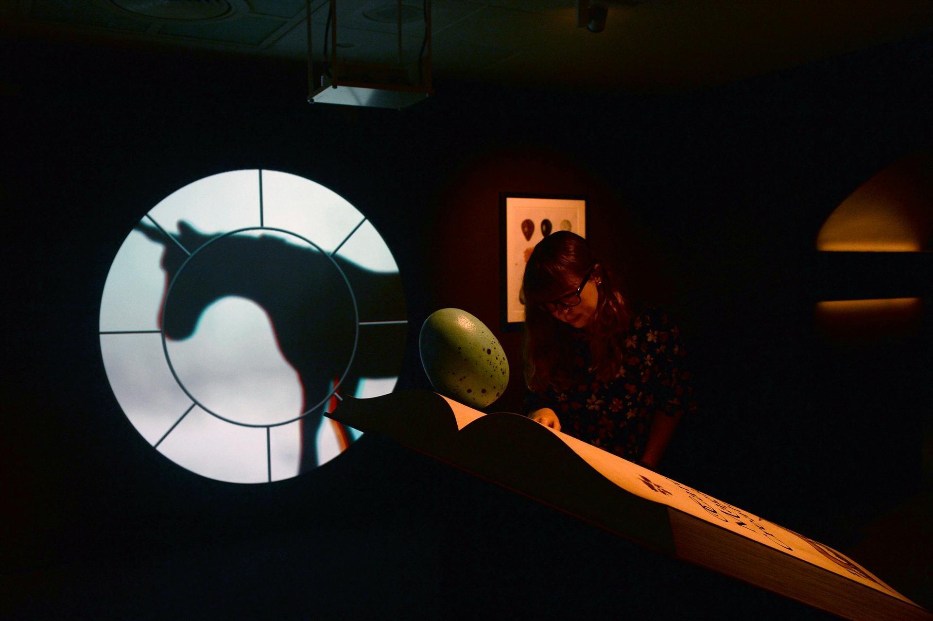 Harry Potter exhibit marks 20th anniversary