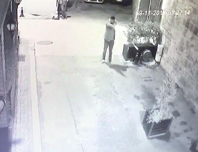 Istanbul police pursuing man who shot at stray cats