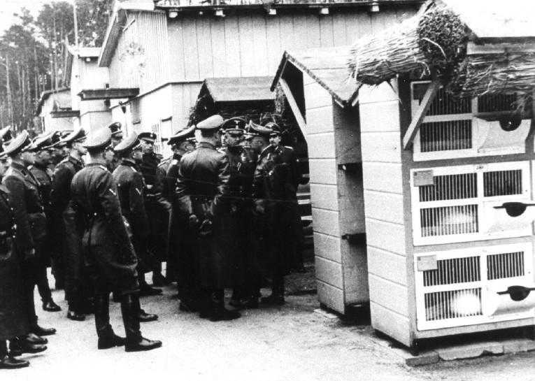 Germany charges ex-Nazi camp guards over hundreds of deaths