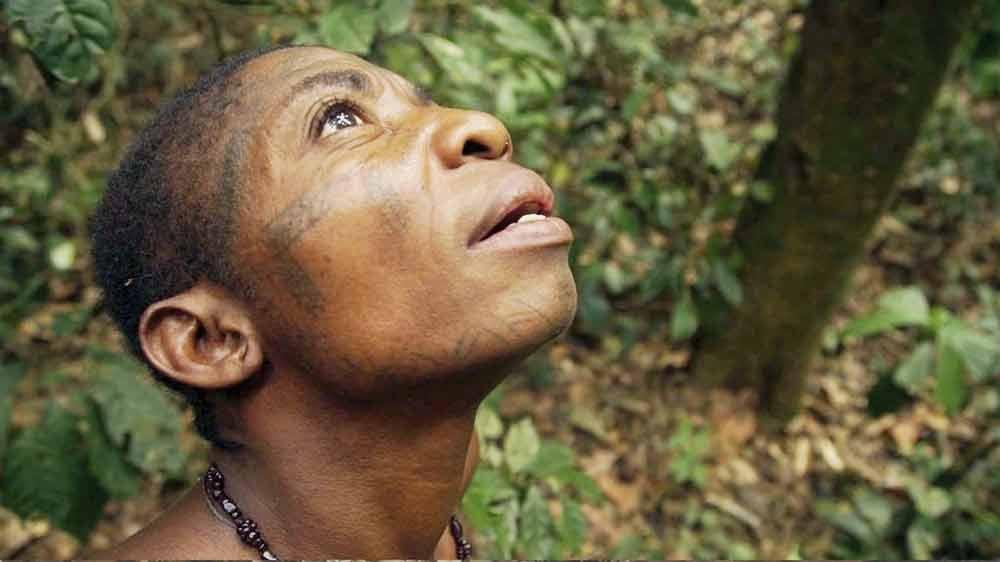 Turkey’s Sustainable Living Film Festival in 10 cities