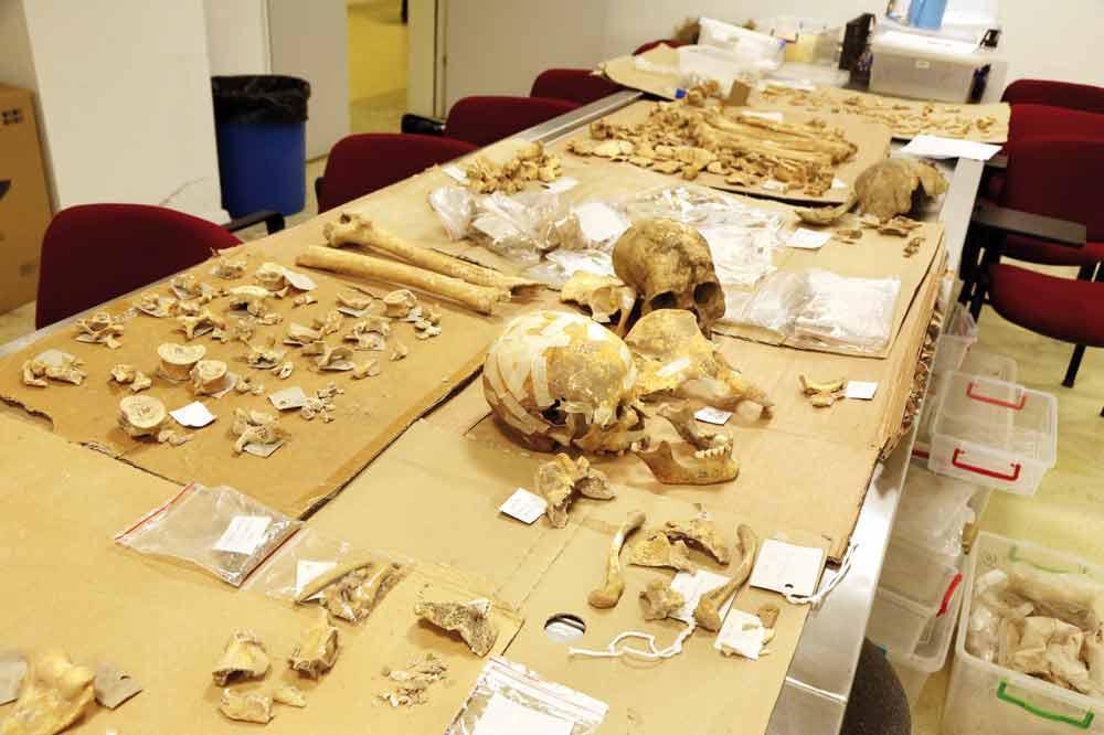 Lab studies Conducted to determine ancient relatives