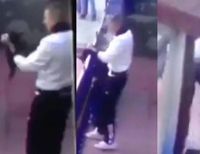 Turkish judge to take cat torture case to top court
