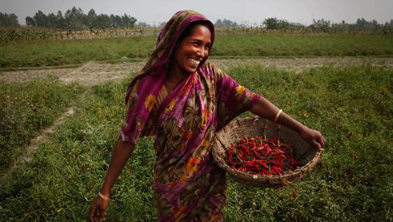 Bangladesh arrests cleric over fatwa against women farming