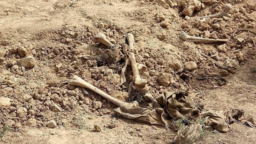 Two Ezidi mass graves uncovered in northern Iraq: Mayor