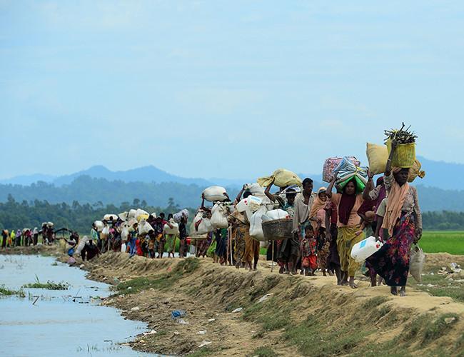 Global hunger back on the rise after a decade: WFP chief economist