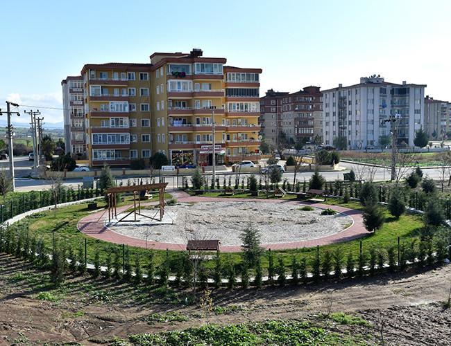 Felines to have their own village in Turkey’s northwest