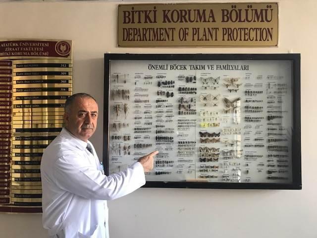 Turkish scientist discovers new insect, names it after father