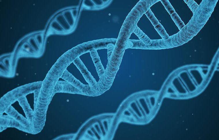 Turkish scientists to crack Neolithic-era DNA code, European funding awarded