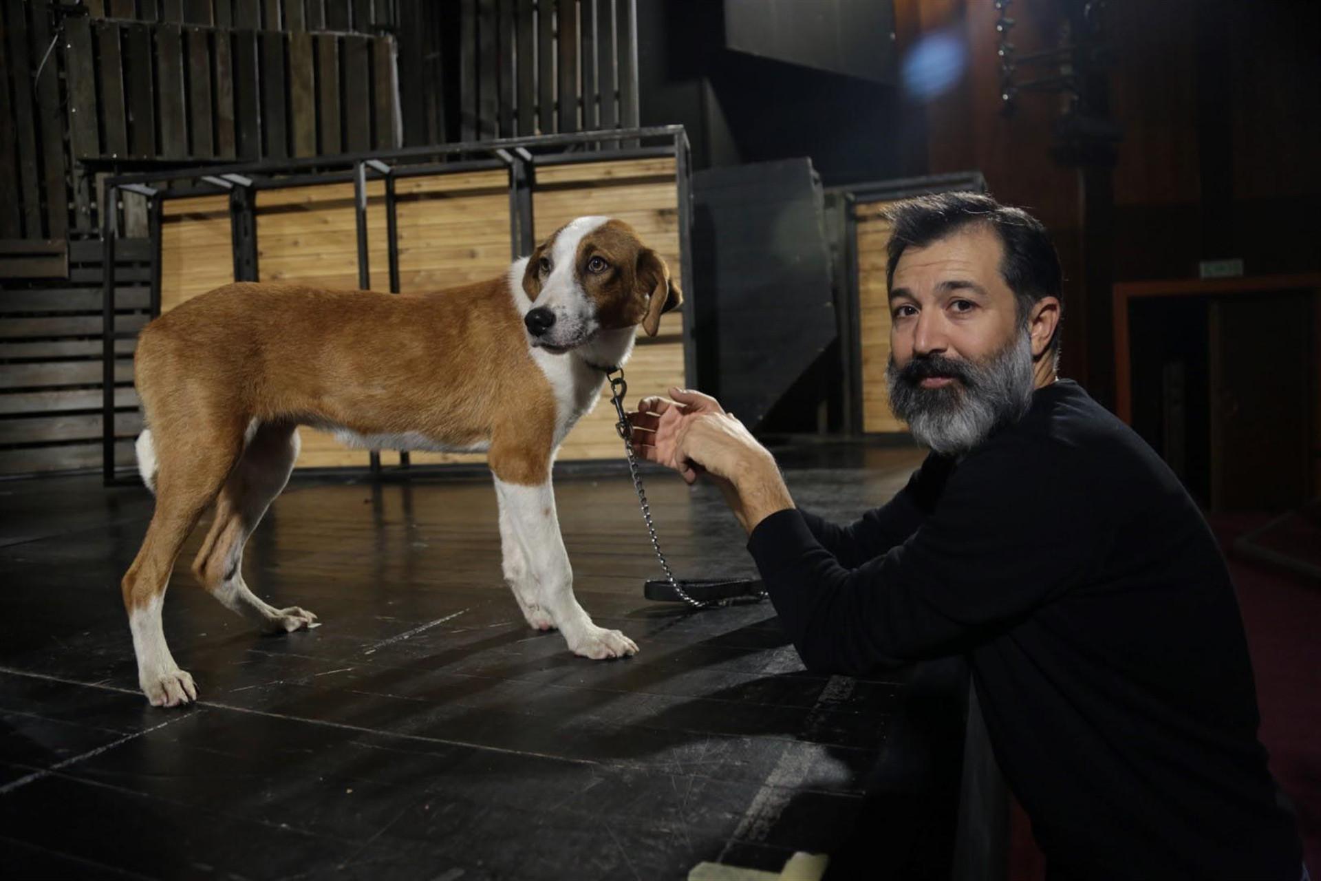 Shelter dog steals spotlight in ‘Of Mice and Men’