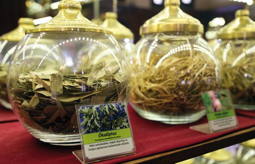 Hatay’s Medical Aromatic Plants Museum resembles pharmacy