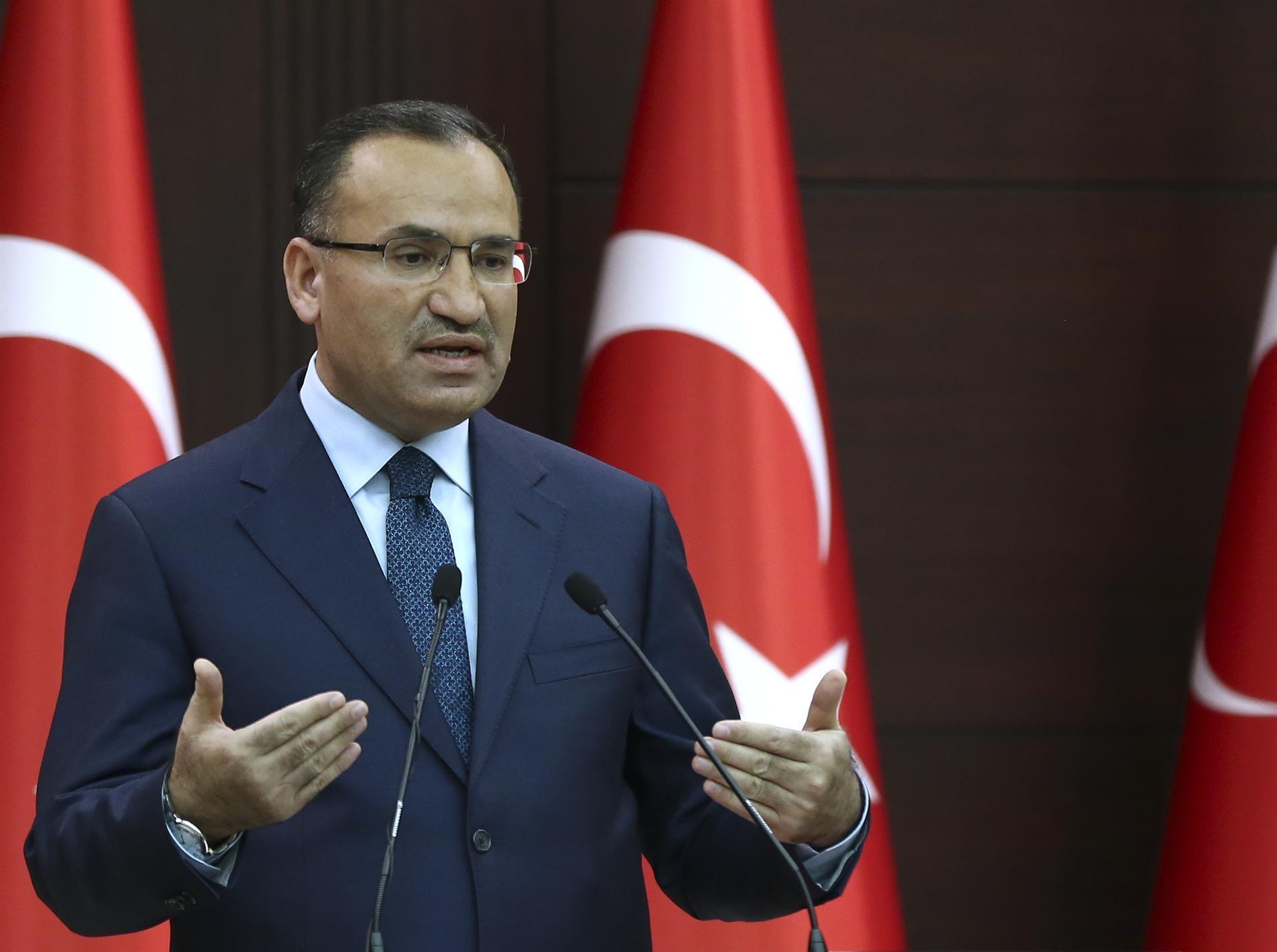 Operation Olive Branch targets terror groups in Syria: Turkish Deputy PM
