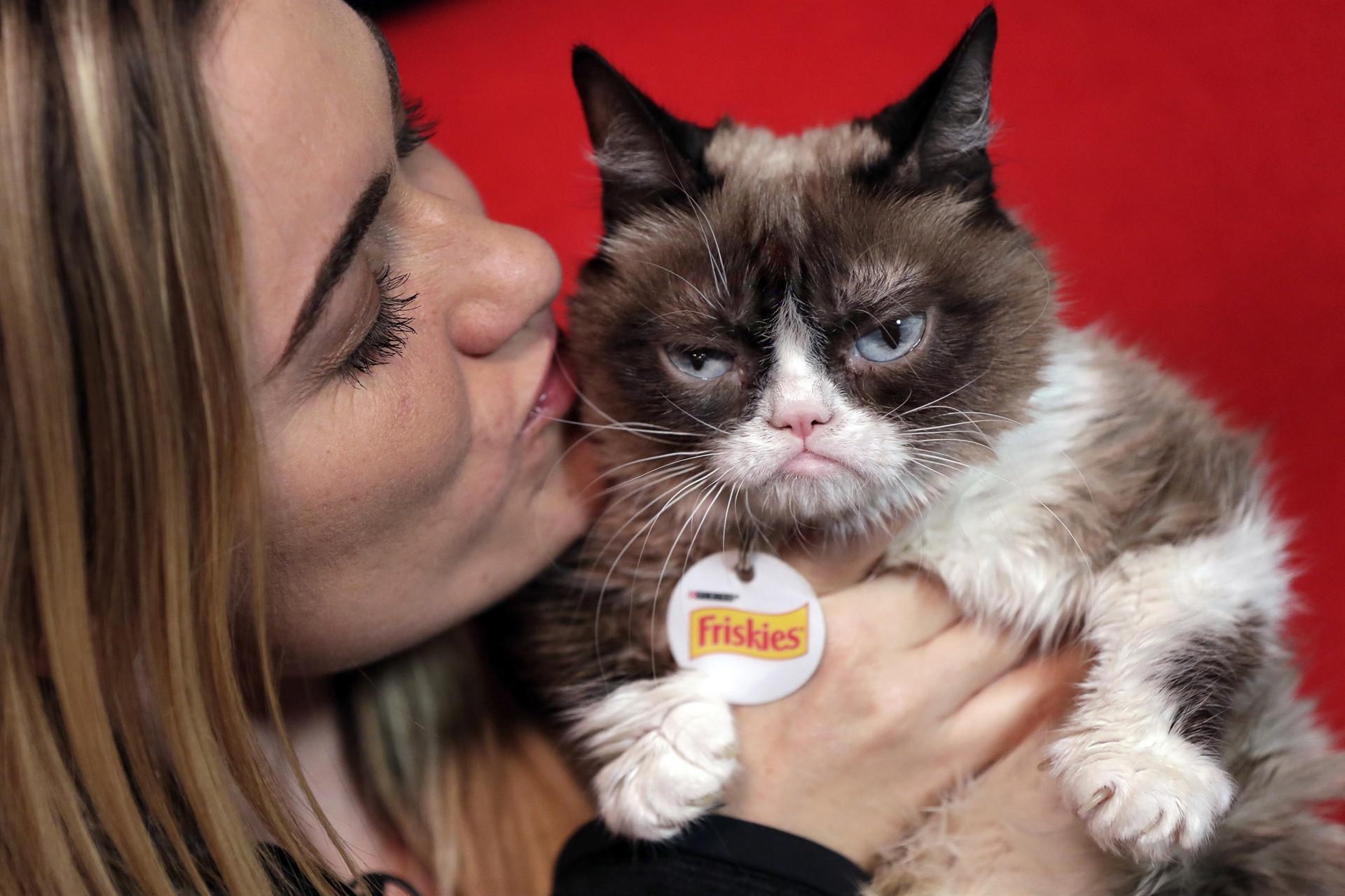 I haz wins: Grumpy Cat in $710,000 court payout