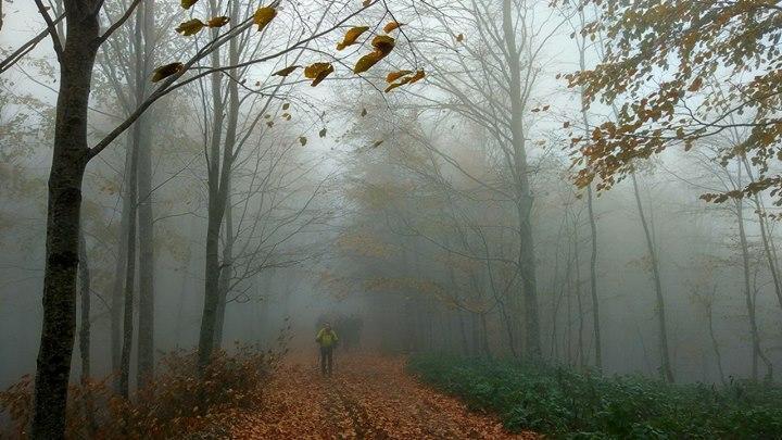 Environmentalists worried, locals unconcerned about mine expansion in Istanbul’s Çatalca