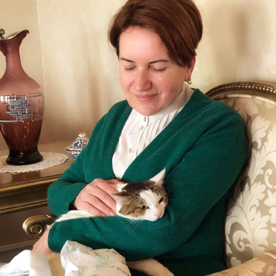İYİ Party leader Meral Akşener adopts rape victim cat ‘Cedric’