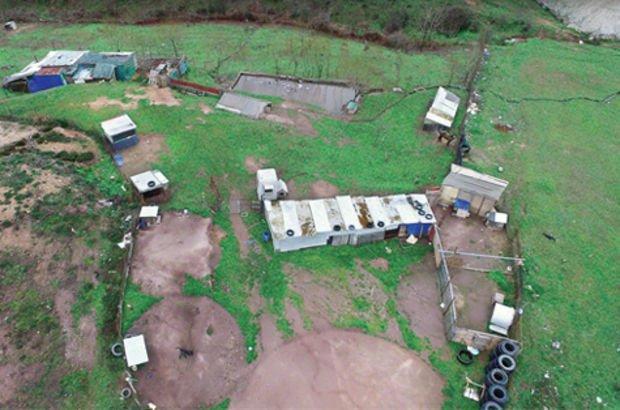 Istanbul police bust farm used to rape, videotape minors
