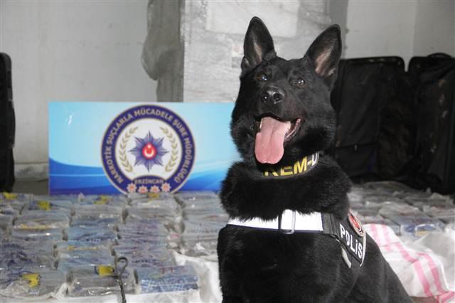 Heroic narcotic dog detects 98 kilograms of heroin in Turkey’s Erzincan