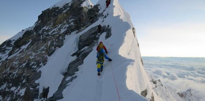 Climber calls off Everest summit bid