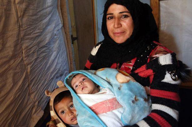 More than 300,000 ‘stateless’ Syrian babies born in Turkey: Refugee subcommittee