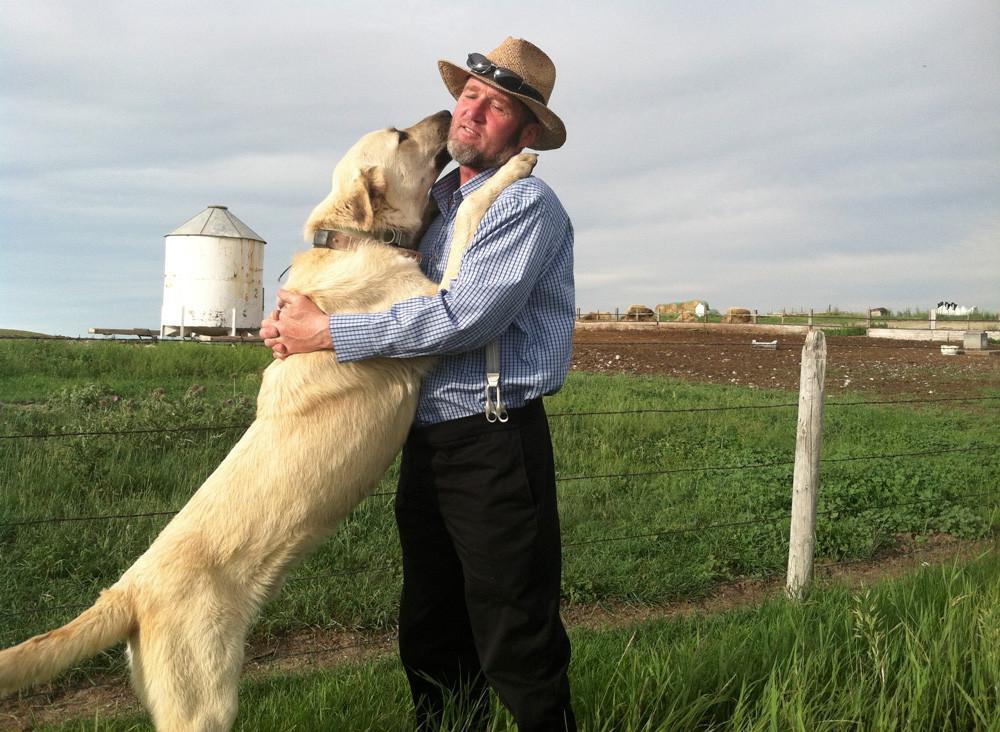 Imported guard dogs deployed as part of US wolf-sheep