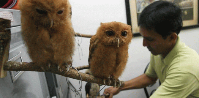 Philippines seizes hundreds of smuggled animals