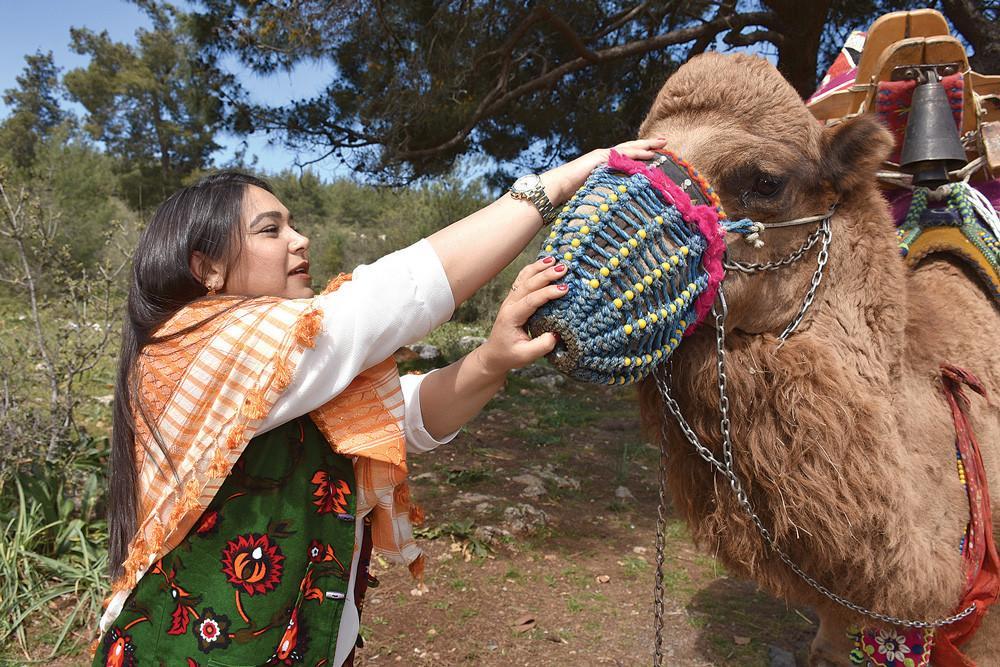 Bodrum’s women carry on tradition of cameleering