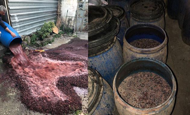 One man detained, over five tons of bootleg alcohol seized in Adana in Turkey’s south