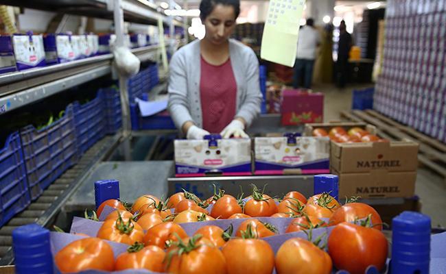 Russia to allow tomato imports from two more Turkish firms from March 29
