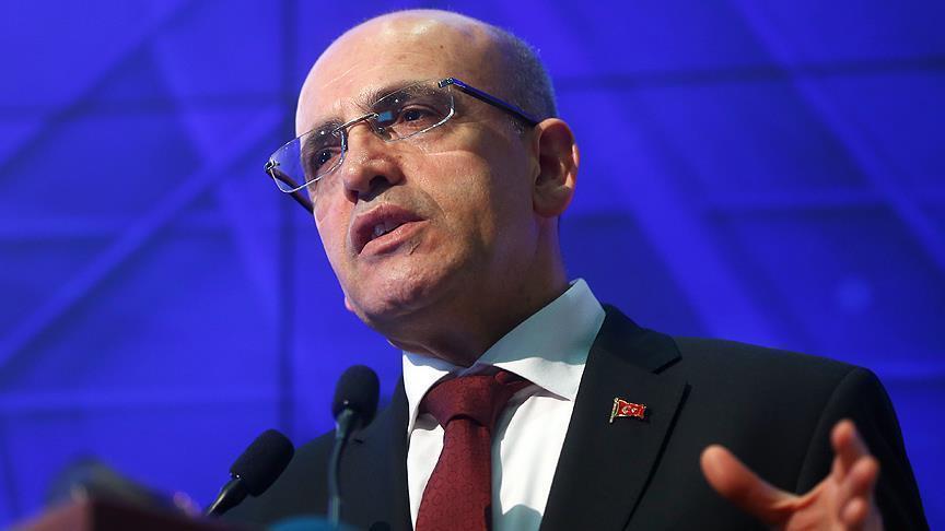 Turkey to ease establishment of investment banks: Şimşek