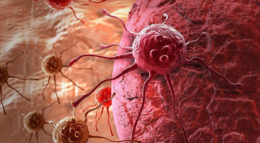 Cancer incidence rates in Turkey above world average, below Europe: Oncology professor