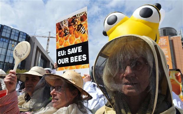 EU to ban bee-killing pesticides