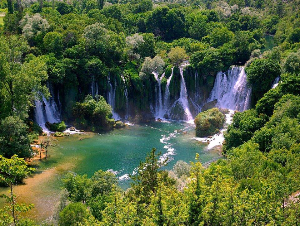 Plant species in Turkey being driven to extinction by expanding settlements