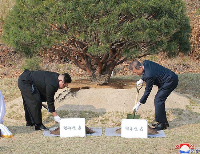 N Korea’s Kim to invite US experts for nuclear site shutdown