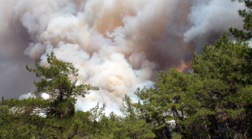 Forest fire in Marmaris ignited by three children