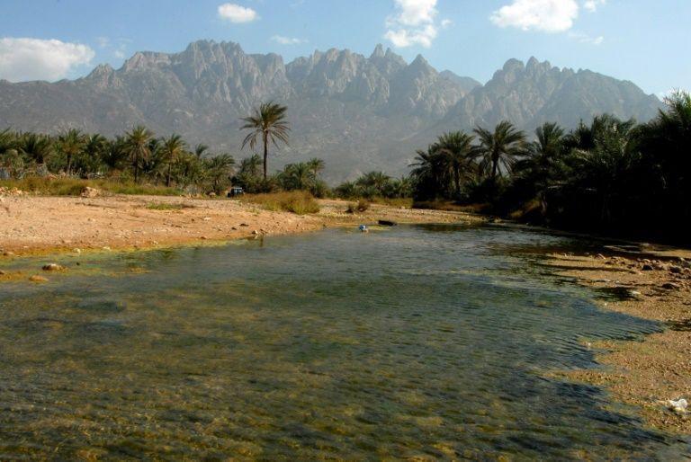 Yemen slams UAE troop dispatch on Socotra island