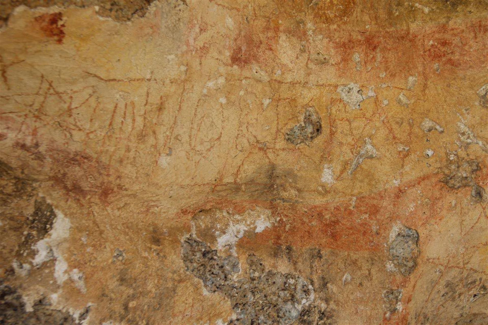 New rock paintings discovered in Latmos