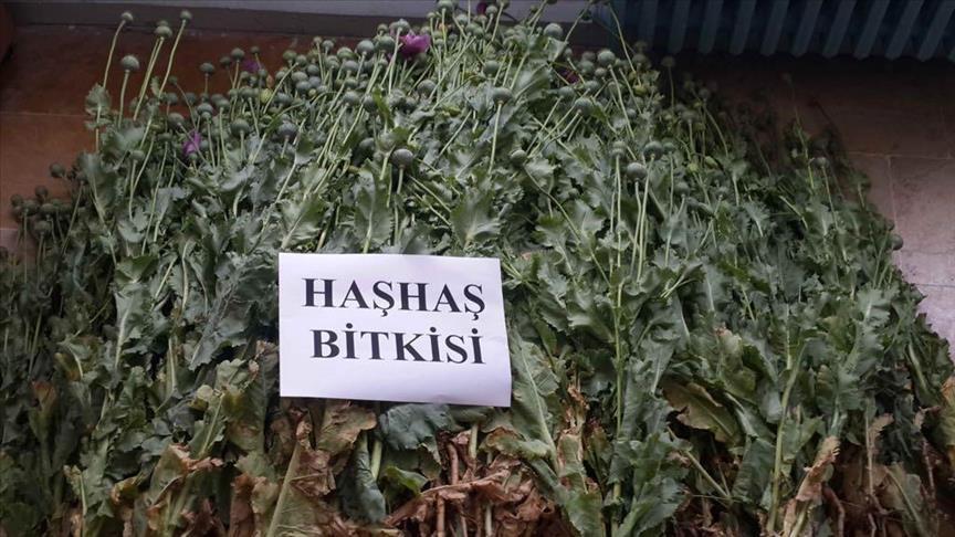 Over a ton of hashish seized in Turkey’s southeast
