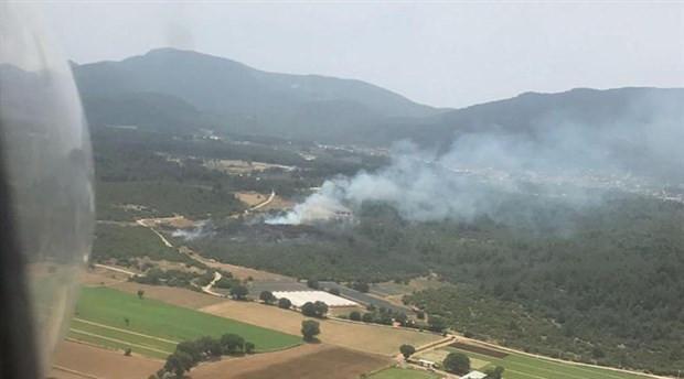 At least two decares of forestry destroyed in fire in western Turkey